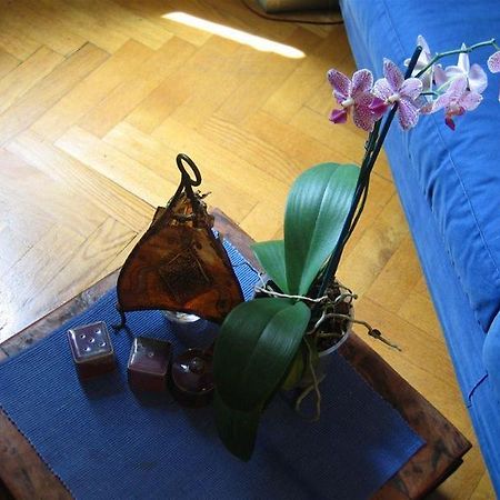 Maria-Rosa Guesthouse 로마 외부 사진