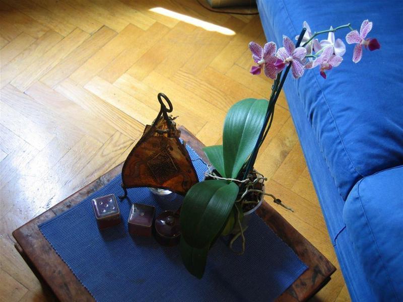 Maria-Rosa Guesthouse 로마 외부 사진